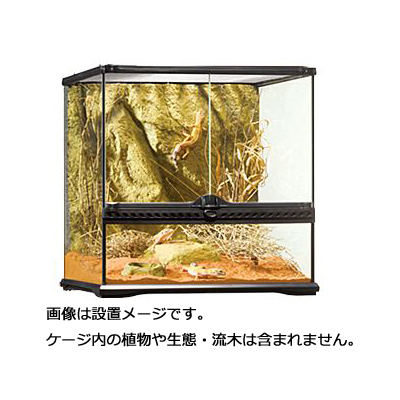 楽天市場】【全国送料無料】GEX エキゾテラ グラステラリウム 4545