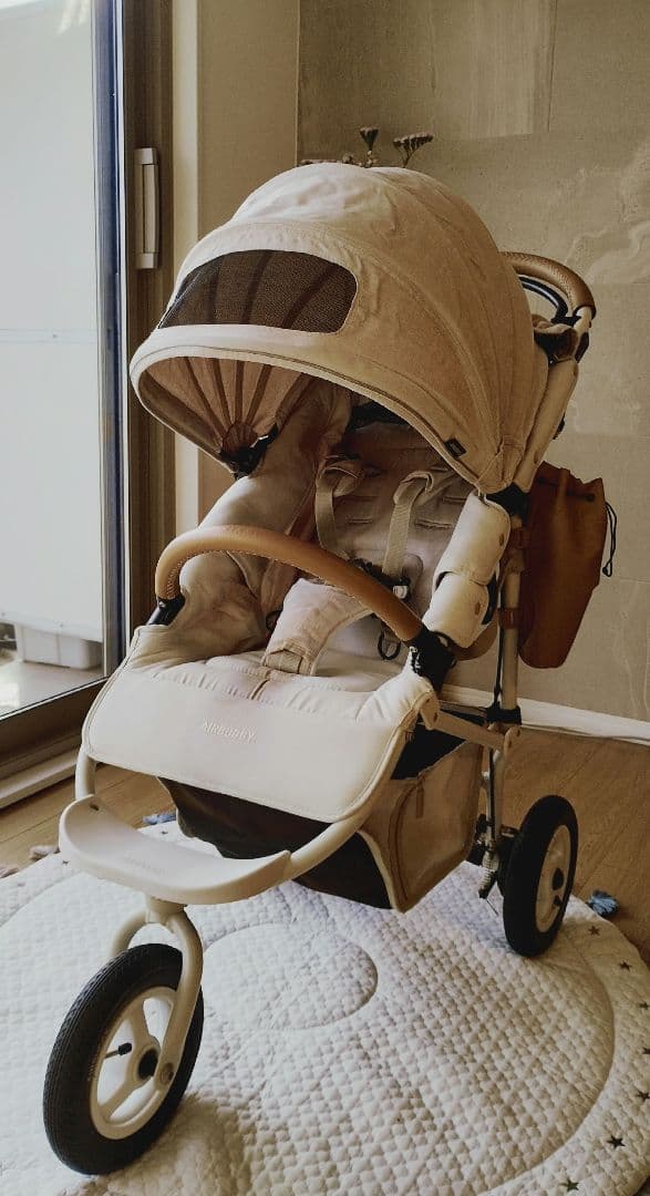 り*ご様 AIR BUGGY COCO BRAKE EX COCO BRAKE EX FROM BIRTH | AIRBUGGY