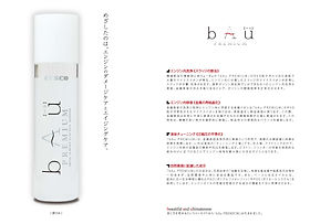 エンジン金属表面修復材 bAu【バウ】｜バウエル株式会社